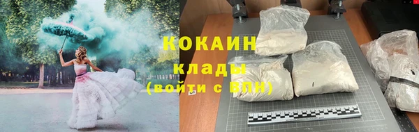 амф Краснослободск