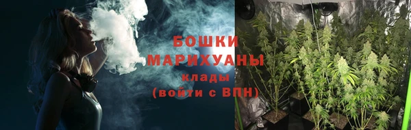 индика Красноперекопск