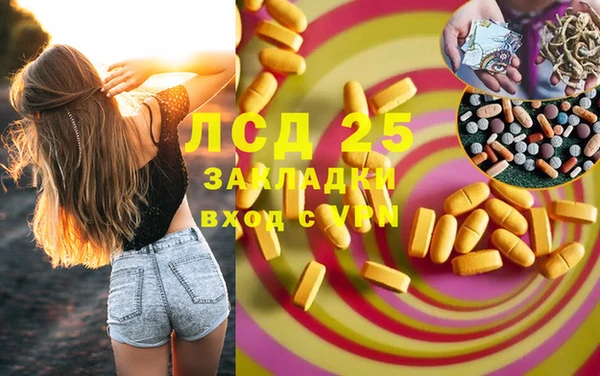 индика Красноперекопск
