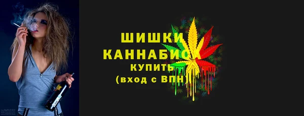 амф Краснослободск