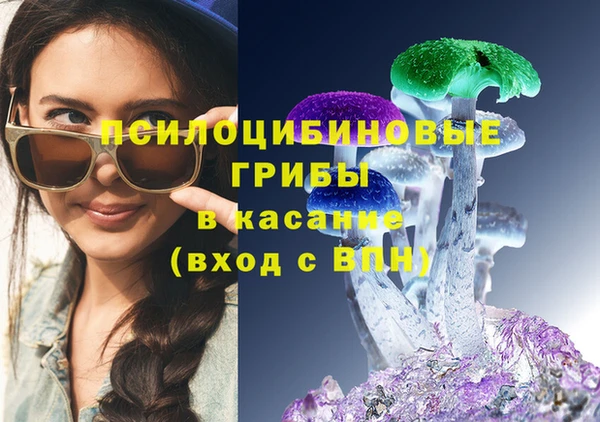 амф Краснослободск