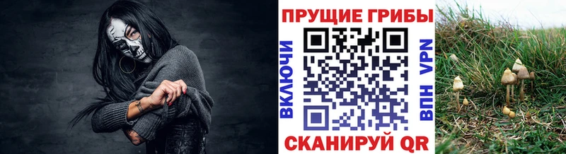 ссылка на мегу как зайти  Никольское  Псилоцибиновые грибы GOLDEN TEACHER 